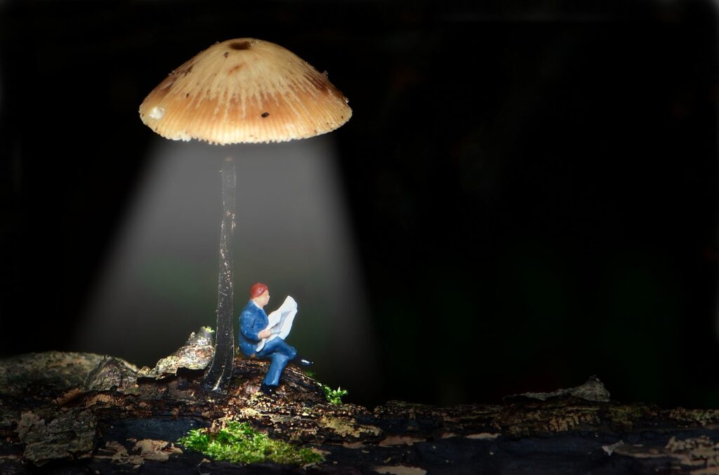 tiny people, small, little world, mini, mushroom lantern, tiny people, tiny people, tiny people, tiny people, tiny people