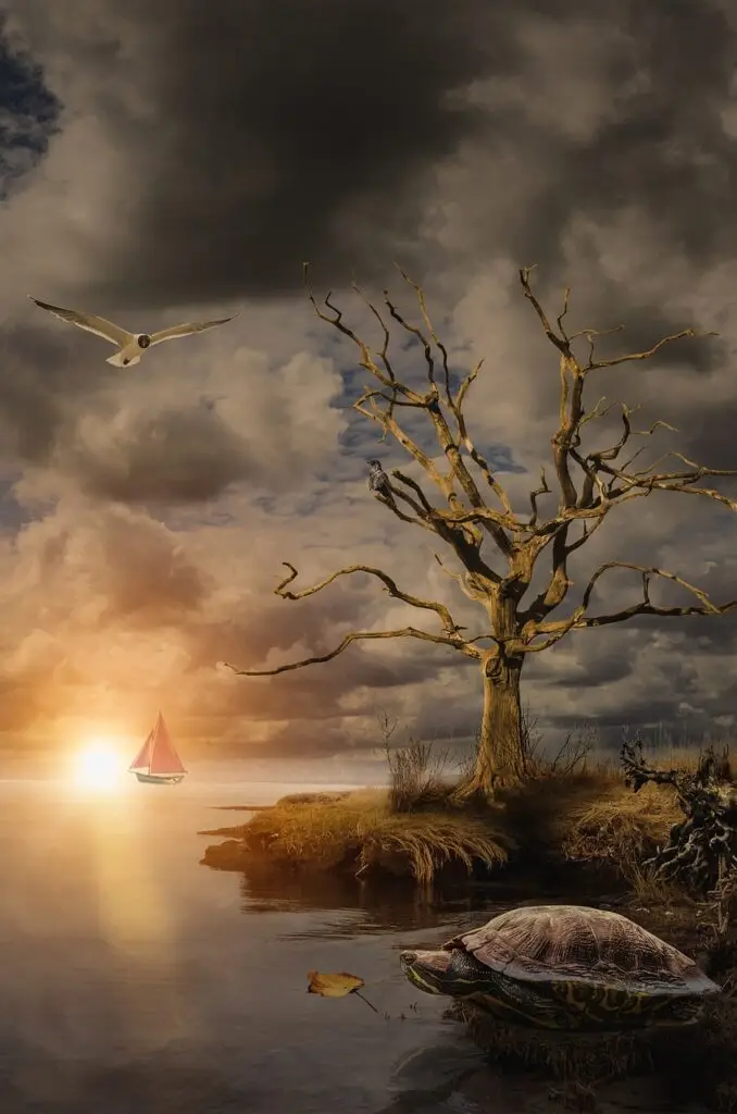pond, lake, sea, river, sailing, sun, sunset, seagulls, turtles, leaf, water, stone, autumn, trees, dry, twigs, flight, nature, anticipation, parting clouds, grass, old, time, space, dream, philosophy, philosophy, philosophy, philosophy, philosophy, philosophy